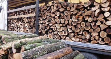 Кое дрво е најисплатливо за греење во текот на зимата? Овој вид ќе ве чини најмалку, а гори и ја задржува топлината најдолго