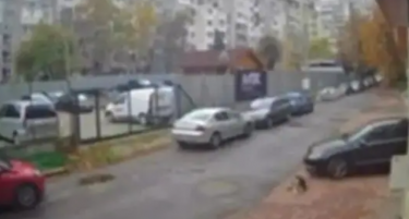 РЕАКЦИИ ВО БУГАРИЈА: Лекар од Македонија прегазил куче пред зграда во Софија