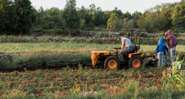 СЕ НАМАЛИЛО ЗЕМЈОДЕЛСКОТО ПРОИЗВОДСТВО ВО ЕУ: Кои земји имаат раст и влечат напред?