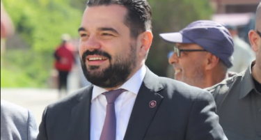 Влен: Кренар Лога се повлече, НАИ се распаѓа