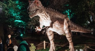 „Однапред сте знаеле дека Дино паркот ќе биде даден на приватник“: Михајловски со остра реакција за одлуката на општина Штип