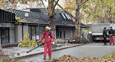 МЕКДОНАЛДС ОДАМНА ЗАМИНА, НО ЃУБРЕТО ОСТАНА: Сопствениците не сакале сами да си исчитат, ама Аеродром ќе им достави фактура