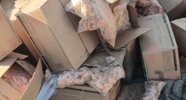 КАЗНА ОД 4.400 ЕВРА ЗА УВОЗ НА КОМПИР СО ПОМИНАТ РОК - планирале да го продаваат на домашниот пазар