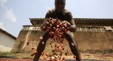 Цената на овoj производ падна на најниско ниво во последните две години