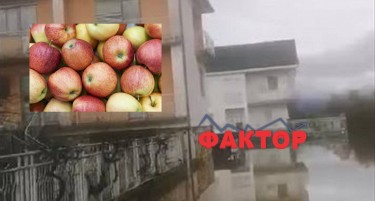 НАЈАВЕНИ СЕ OБИЛНИ ВРНЕЖИ: Oва е начинот на кој овоштарите во ресенско можат да ги заштитат насадите со јаболка