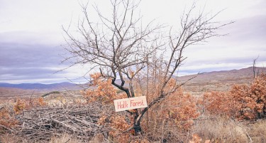 Халкбанк со голема акција за пошумување во Делчево како дел од иницијативата „Еден милион садници за пет години“