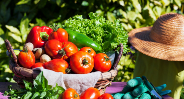 Koj е најголемиот европски центар за производство на зеленчук?