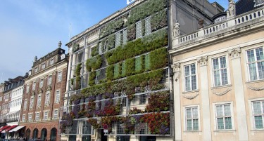 Дaнcĸa гo зaбeлeжa свojoт нajбpз ĸвapтaлeн pacт зa peчиcи 4 гoдини - како им успеа?