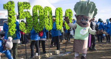 dm засади 50.000 нови дрвја во околината на Штип како дел од проектот „Пошумуваме заедно за позелено утре“