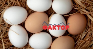 ЈАЈЦАТА ПОСКАПЕА: Колку пари граѓаните максимално би платиле за една табла?