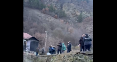 (ВИДЕО) Уапсен е сопственикот на кравите во Крива Паланка