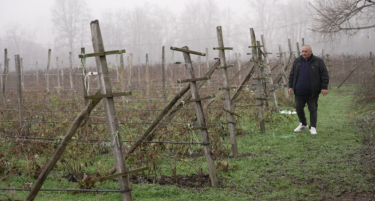 Обидот за увоз на берачи од Бангладеш и Пакистан не успеа во соседството