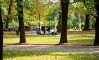 ЌЕ ИМ СТАВИ ЛИ МВР КОНЕЧНО КРАЈ НА ВАКВИТЕ „ФРАЕРИ“ - 20-годишник се движел по патека за пешаци во Градскиот парк, но пријавен е и фатен