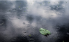 ПОРОЈНИ ДОЖДОВИ: Најмногу дожд наврна во Охрид